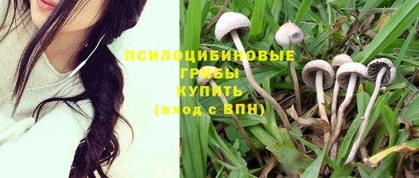 трава Алзамай