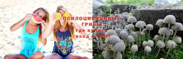 трава Алзамай