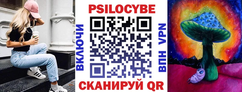 Галлюциногенные грибы Psilocybe Мегион